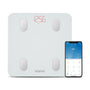 Smart Body Fat Scale - Basic White Scale Renpho HK