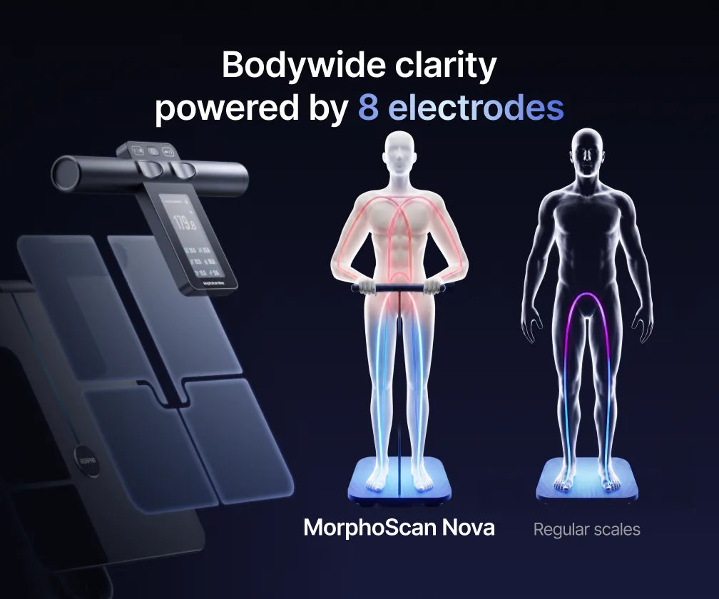 MorphoScan Nova Body Composition Scale – RENPHO HK