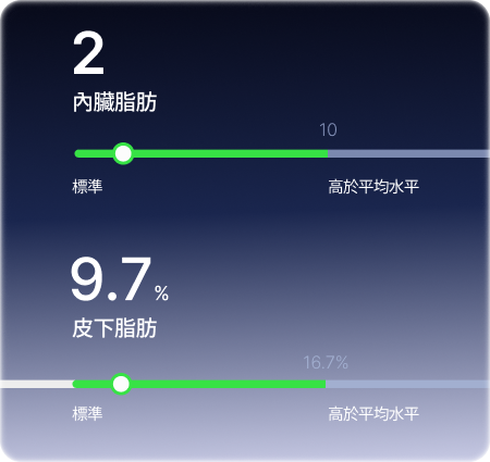 皮下及內臟脂肪