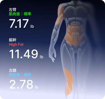 分區肌肉及脂肪測量